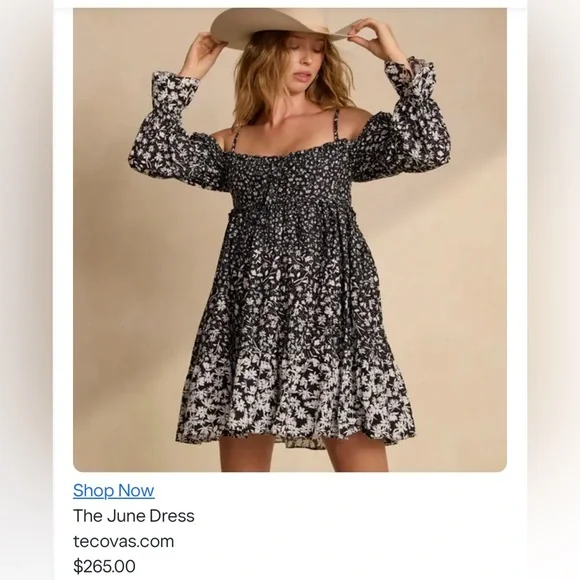 NWT! Tecovas x Kristopher Brock The June dress - Picture 5 of 10
